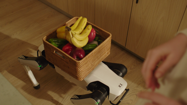 一部手机价格拿下机器狗 越疆Rover X1首日预约超5000台