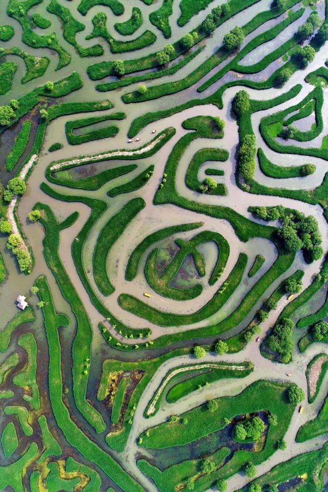 这些地方，把“吃”写成了姓名