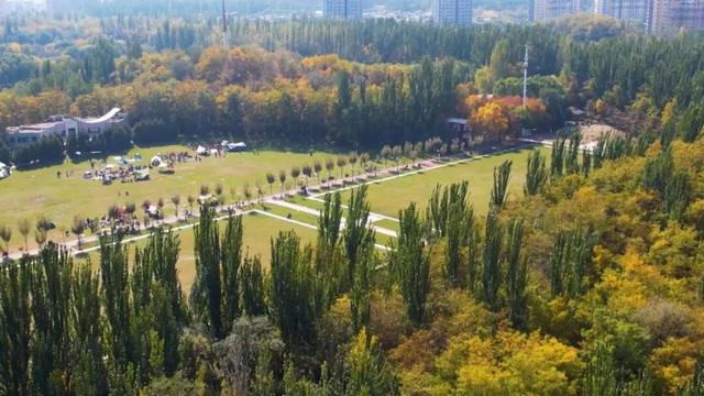 聚焦 || 银川全面入冬了？不！这里把“秋天”留下了……