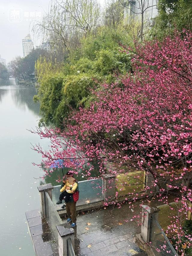 春节浙江人去哪玩？分享你的独家年味，赢潮新闻独家展示位