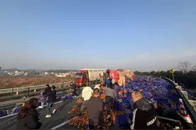 高速路遇货车砂糖橘侧翻，20多人出手帮忙！河南返乡小伙：举手之劳图片