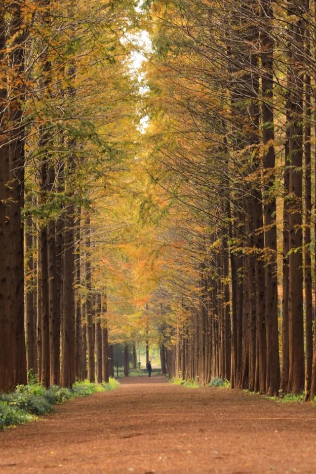 山海天的“猫冬限定”暖游图鉴来咯！