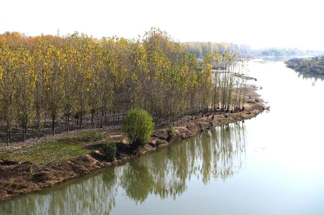 限定初冬美景！就在河南沁阳→