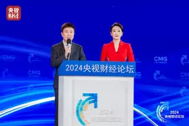 2024央视财经论坛召开 聚焦“中国式现代化的发展新动能”图片
