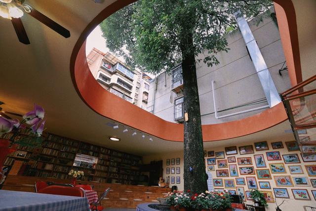 一座杂书馆，承载老昆明记忆——有一种叫云南的生活之365天