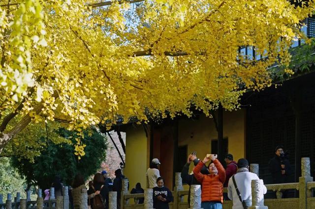 限时绝美！此刻，常州颜值巅峰