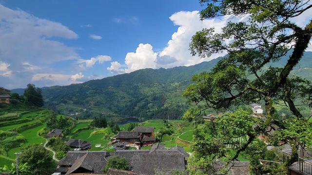 暑期黔东南民宿 “满房”  “民宿 +” 点燃乡村旅游烟火气