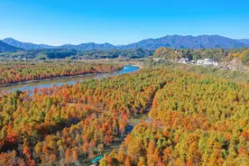 乡村振兴路上的电力初心图片