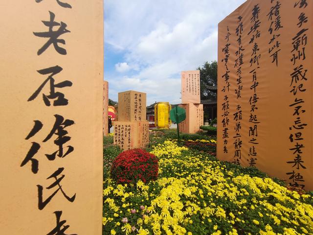 满城尽带黄金甲！八朝古都开封又“变色”了！