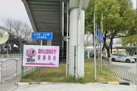 开往春天的巴士，“樱花直达车”发车！还可以乘坐这些公交线路去赏樱图片