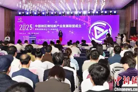 打造产业集群 中部地区微短剧产业发展联盟成立图片
