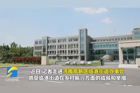 党建引领农文旅融合 济南高新区临港街道助力乡村全面振兴图片