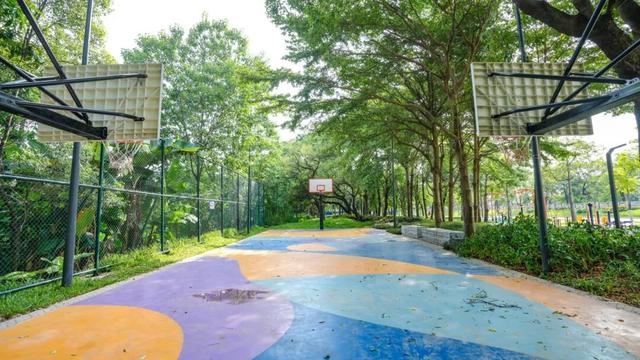 运动、遛娃、拍照全安排！东莞人“家门口”又上新了