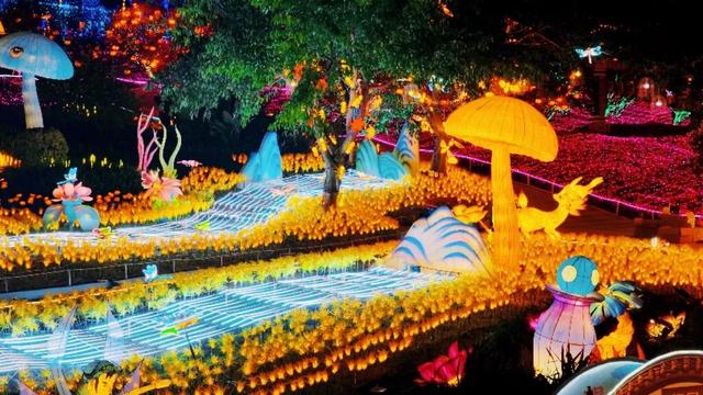 新都首届彩灯嘉年华！今晚开园！