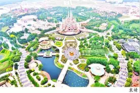 上海迪士尼乐园年卡回归，新增幻彩珍珠卡图片