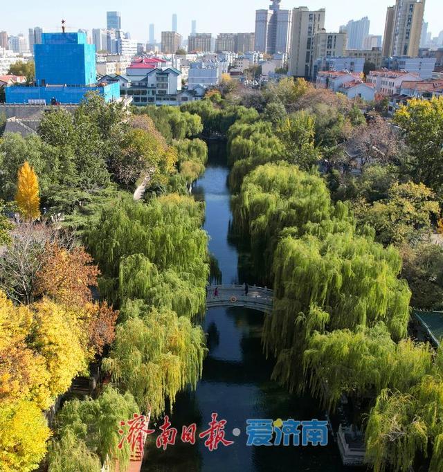 一年四季 泉在济南丨济南护城河初冬景如画 游人打卡赏斑斓