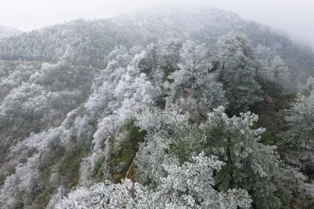 出片率99.99%！快来邂逅綦江版“冰雪奇缘”