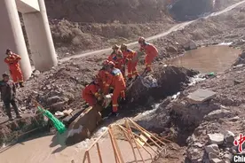 800斤母牛坠河 消防员抛绳拴角拉上岸图片