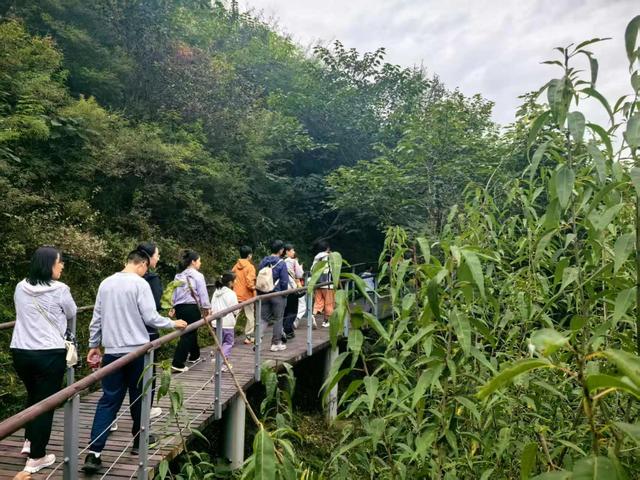长假收尾，北京市属公园迎客461万余人，秋花展将持续