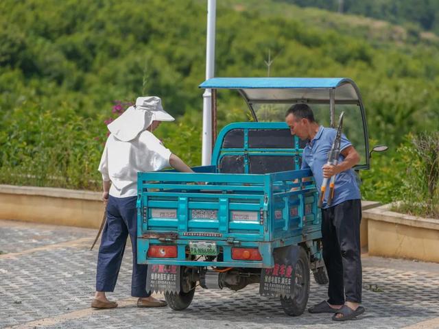 厍东关：总溪河畔的“绿色长诗”
