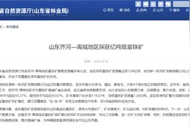 观澜亭｜山东齐河—禹城地区探获亿吨级富铁矿，“煤下铁”是怎么形成的？图片