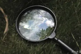 汪莹纯，被双开图片