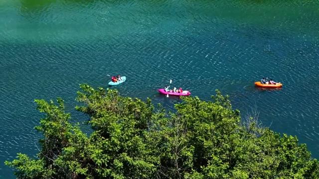 新华视点｜夏日经济“热”力四射 多元业态绘就乡村振兴新图景