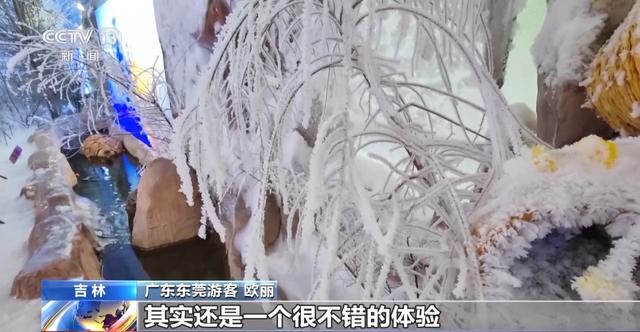 从冬日童话到四季可赏 科技让雾凇美景不再“可遇不可求”