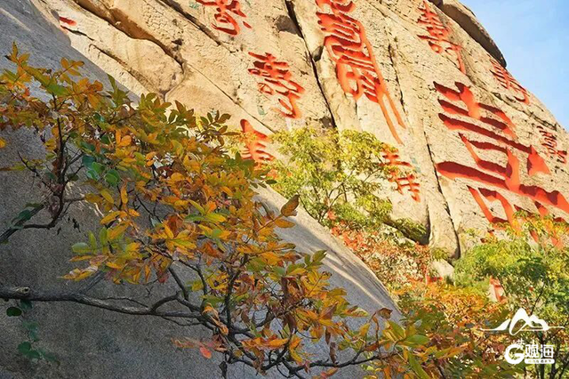 2025崂山赏秋地图发布，秋韵“大片”即将绝美上映！