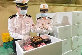 广州关区今年首批荔枝抢“鲜”出海图片