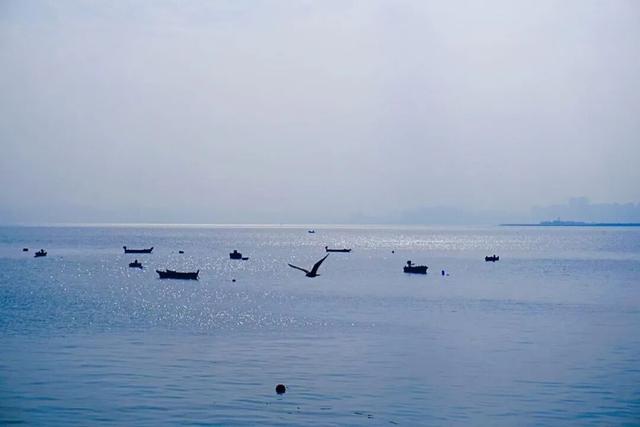 免费又出片！威海人私藏！钓鱼人、秋千、老渔船，治愈力满分～