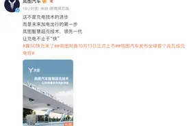 岚图汽车宣布首座智慧超充站落成 兆瓦级充电桩成亮点图片