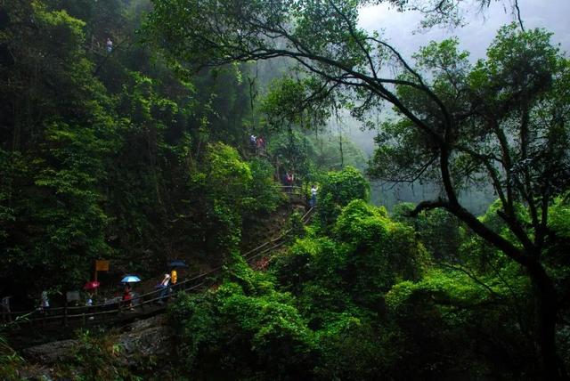不用出远门！在星湖就能玩遍山、溪、林、岩……