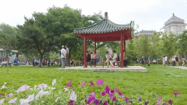 【点赞】新民大街开街满月 文旅融合尽显新活力