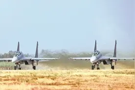 空军航空兵某旅组织飞行训练图片