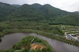 重大考古突破！广佛地区最早人类遗存被发现图片