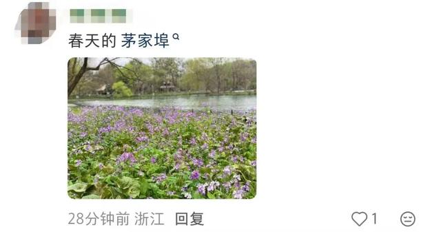 知名男星发视频狂推杭州“小众景点”！网友直呼：这里特别美！