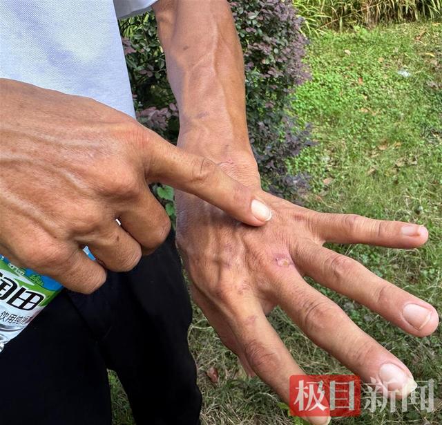“鸡排哥”赚得盆满钵满购置多套房产？当事人：还没到一个亿，你多来，我才能多卖2份