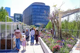 2025上海国际花展浦东新区分会场开幕图片