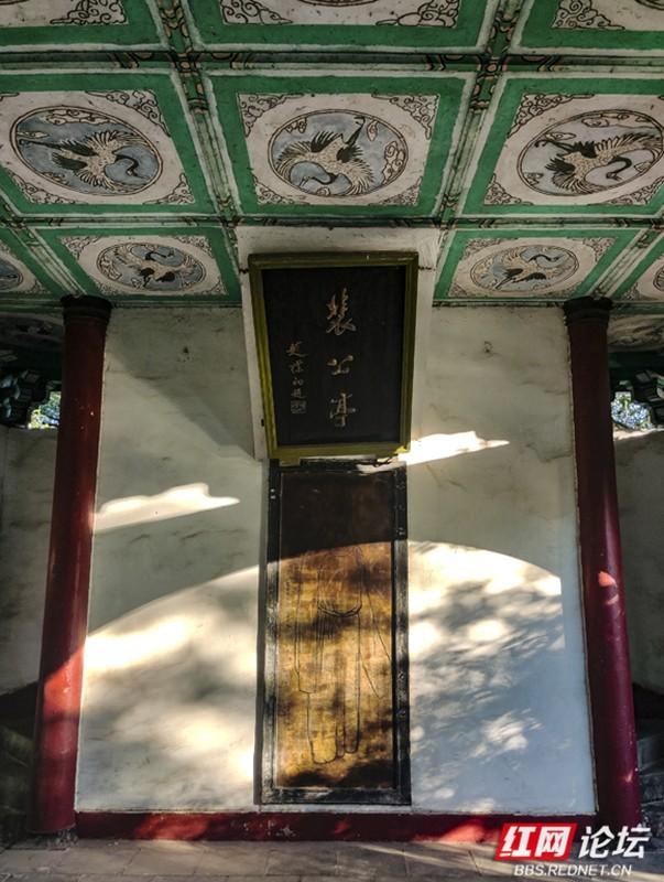 邂逅益阳古十景｜走进“裴亭云树”的诗意时光