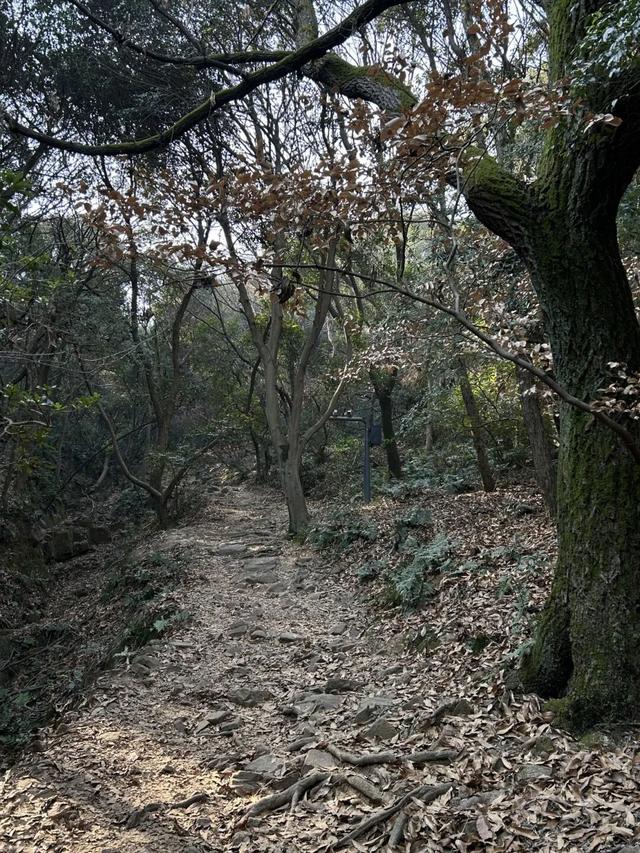 太火爆！无锡人最近都在…