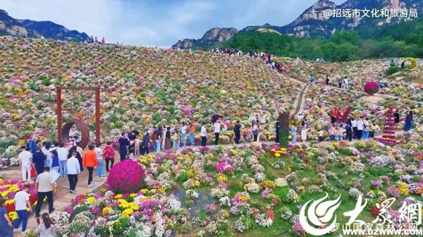 “双节”同庆人气旺，金都文旅绽芳华——招远十一黄金周文化旅游市场综述