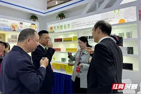 张家界市人民政府代表团参加第四届湖南（岳阳）口岸博览会图片