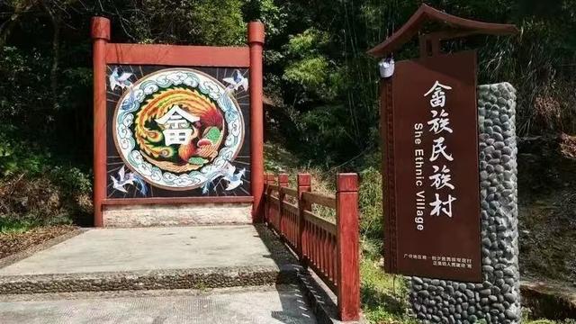 跟着村歌游增城！这个深秋，天籁乡音开启美好荔乡之旅