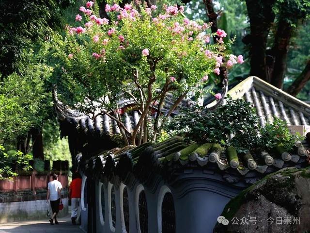 盛夏崇州 与你相约！