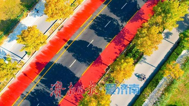 一年四季 泉在济南丨秋日彩叶映通途 一路风光伴出行