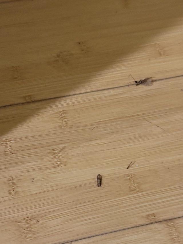 在武夷山预订的民宿“货不对板”，衢州游客求助“记者帮”，当地文体旅局回应了