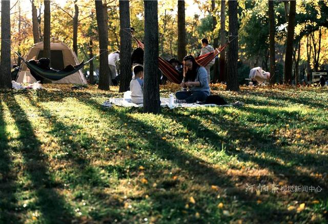 郑州迎来入秋最佳晴日 市民扎堆公园乐享“金色周末”