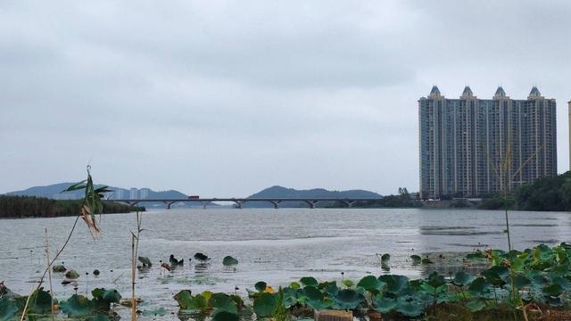 江苏溧水：降温了，卧龙湖畔秋景初现