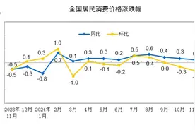 国家统计局：11月份CPI同比上涨0.2％图片
